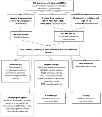 Optimization of treatment strategies for elderly patients with advanced non-small cell lung cancer